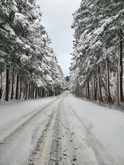 Snowy Saryeoni Forest