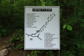Saneum Natural Recreation Forest