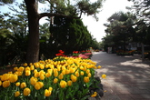 Hallim Park
