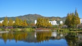 Gimhae Yeonji Park