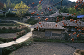 Autumn Country House Autumn Country House