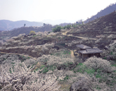 Maehwa Village..
