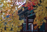 Changgyeonggun..