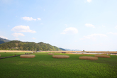Suncheonman Bay Ecological Park Suncheonman Bay Ecological Park