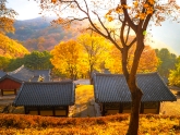 Yeongju Birosa Temple