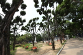 Dalseong Park