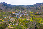 Gacheon Daraengi Village