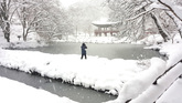 Winter in Baegyangsa Temple 
