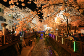 Yeojwacheon Watercourse
