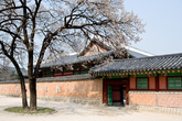Gyeongbokgung Palace in Spring 