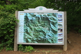 Saneum Natural Recreation Forest
