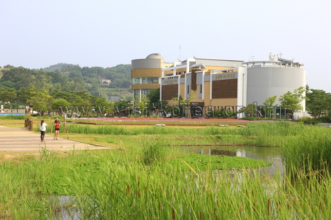 Suncheonman Bay Ecological Park 