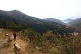 Namhaepyunbaek Recreation Forest