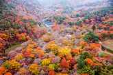 Autumn of Gayasan Mountain