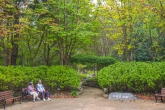 Daegu Arboretum