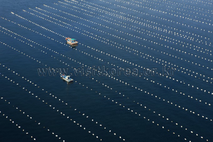Sea Farms in Yeosu 