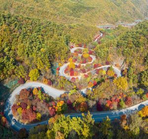 단양 보발재...1