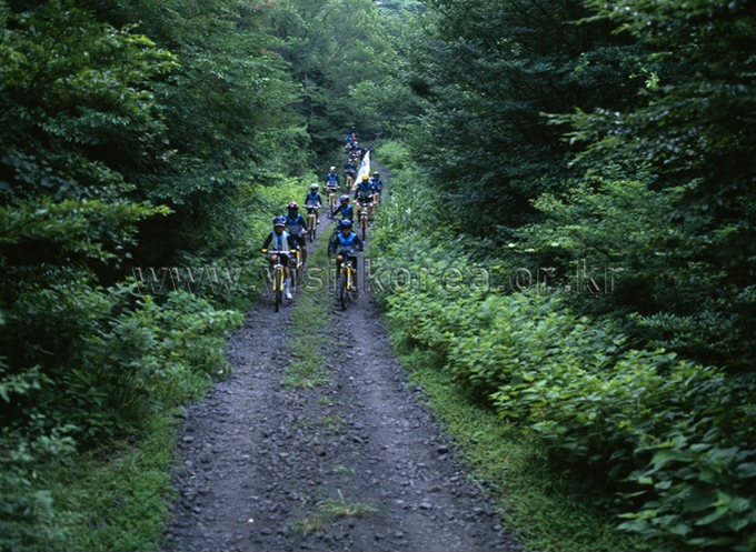 Cycling Tour