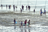 Fishing Fishing