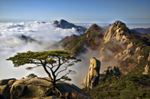 A Sea of Clouds Over Dobongsan Mountain