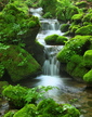 Primitive Valley