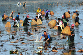 Fishing Fishing