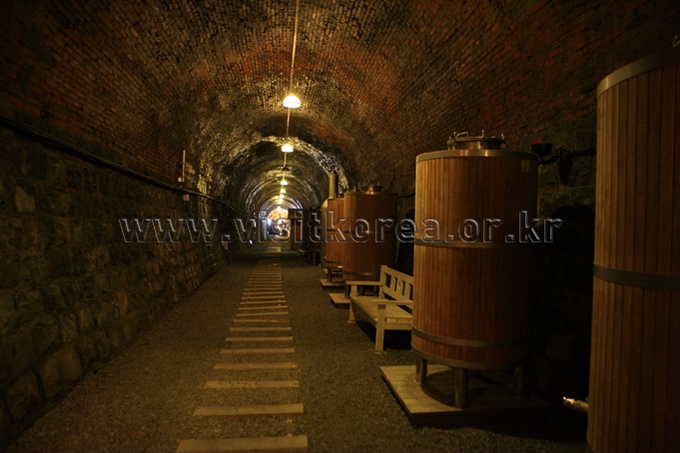 Wine Tunnel in Cheongdo