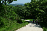 Jangseong Chukryeong Mountain Recreation Forest