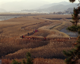 Suncheonman Re..