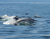 2012  The 8th Ulsan Tourism National Photo Competition