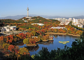 Daegu Metropolitan City Daegu Metropolitan City
