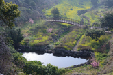 Eongdeongmul Valley