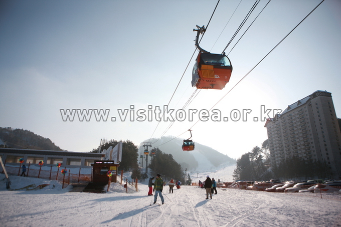 Yongpyeong Resort, Ski 