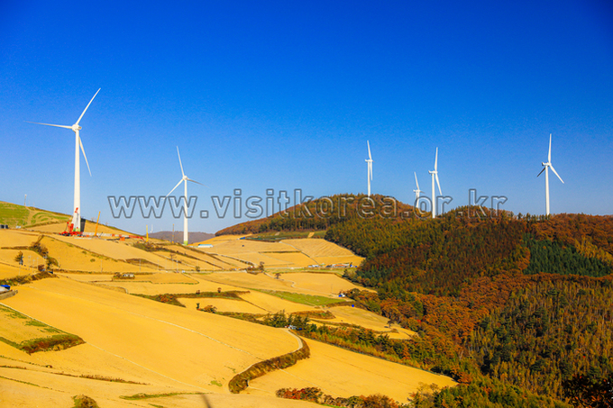매봉산 풍력발전단지(바람의언덕)