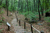 Umyeonsan Ecological Park
