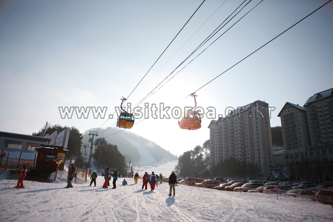 Yongpyeong Resort, Ski 