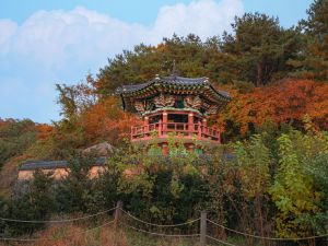 영주 무섬마을...2