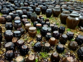 Spring of Hangari Jar