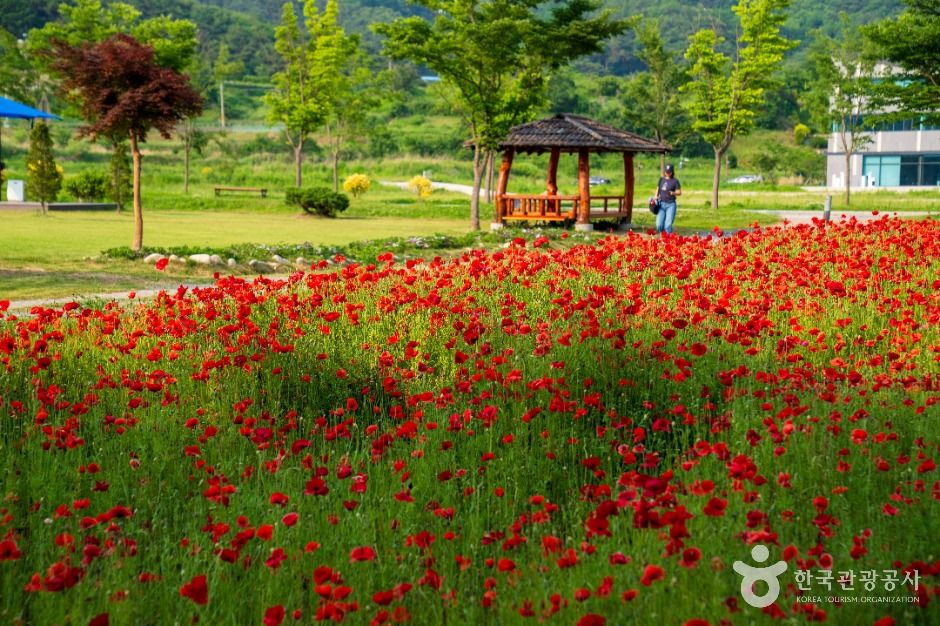 thumbnail-상림공원-23