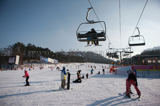 Yongpyeong Resort, Ski 
