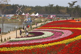 Taean Flower Festival Spring Season