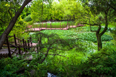 Gyeongsangnam-do Arboretum