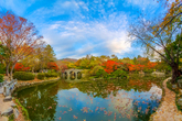 Fall Colors of the Pond