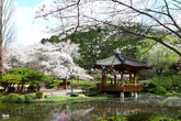 Bomunjeong Pavilion