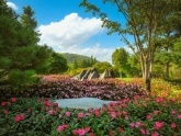 Daegu Arboretum