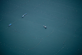 Sea Farms in W..