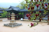 Tongdosa Temple