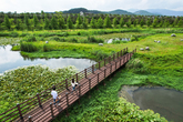 Yocheon Ecological Wetland Park