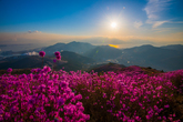 Yeosu Yeongchwisan Mountain
