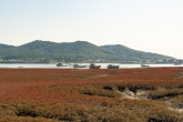 Ganghwado Island